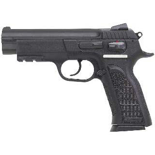 EAA TANFO WITNESS 45ACP POLY LIGHT RAIL 10RD