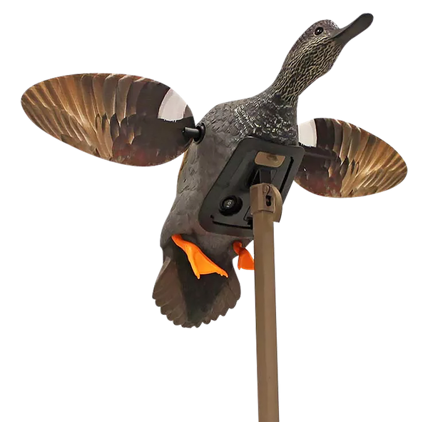 Mojo Elite Series Hw2473-3p  Es Gadwall