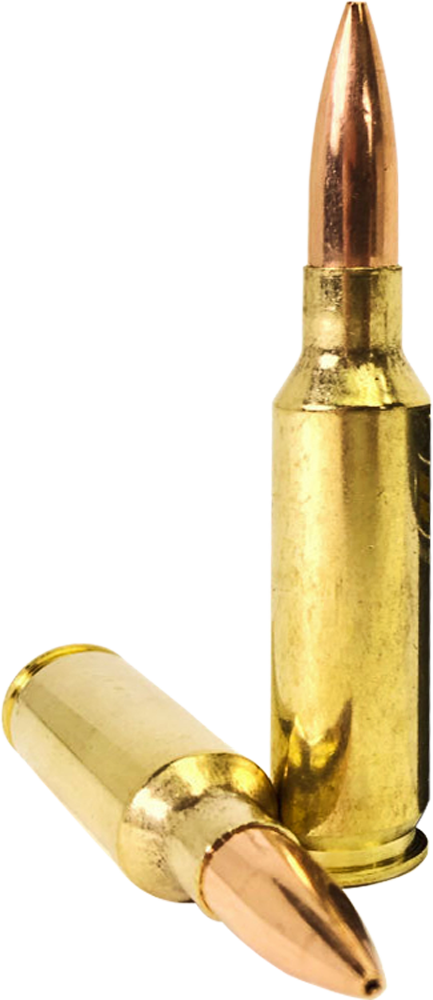 Image of Armscor USA 6.5 CREEDMOOR, 123gr, HPBT - 20 Rounds [MPN: FAC65CIN]