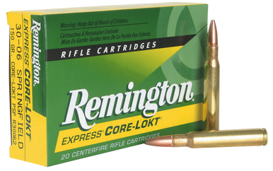 Remington Core-Lokt PSP [MPN 29489 Ammo