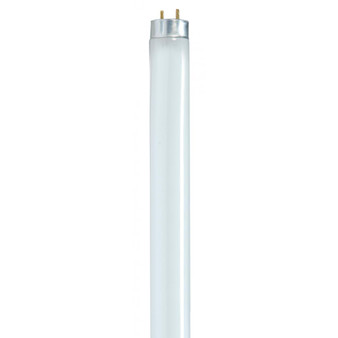 f32 fluorescent bulb