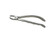 extracting forceps, forceps, extractor, stainless steel, autoclave, dental, dentist, medical, surgical, upper molars, lower, molars, roots, right, left, lower molars,