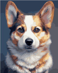 Corgi Paint by Numbers Corgi Paint by Numbers