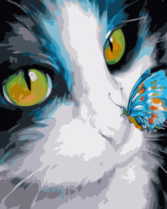 Cat and Butterfly Cat and Butterfly
