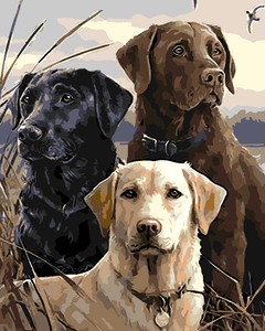 three musketeers three musketeers
