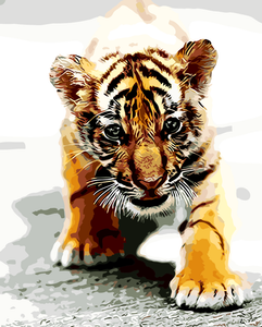 Golden Cub Golden Cub