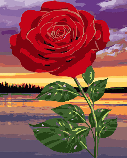 Rose and Sunset Rose and Sunset