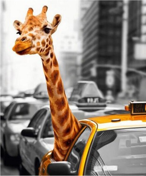 Giraffe Comes to Town Giraffe Comes to Town