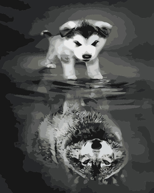 Stronger Reflection 2 Stronger Reflection 2