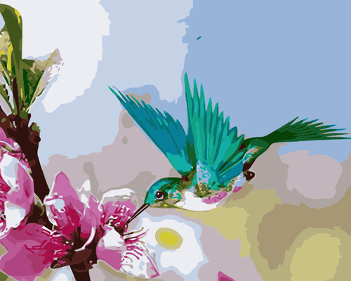 Hummingbird and Flower Hummingbird and Flower