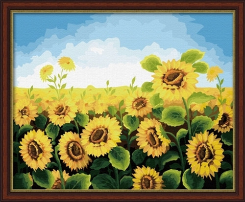 Sunflowers Field 40x50cm paint by numbers.