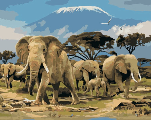 Elephant Herd Elephant Herd