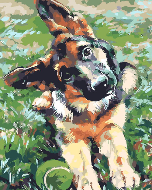 Rex German Shepherd Rex German Shepherd