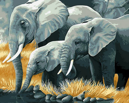 Elephant Family Elephant Family