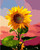 Sunflower in Bloom Paint by Numbers Sunflower in Bloom Paint by Numbers