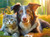 Border Collie and Buddy Border Collie and Buddy