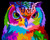 Colourful Owl Colourful Owl