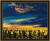 Evening Sunflower Field Evening Sunflower Field