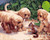 Squirrel and Puppies Squirrel and Puppies