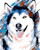 Colourful Husky Paint by Numbers Kit - 40x50cm Colourful Husky Paint by Numbers Kit - 40x50cm
