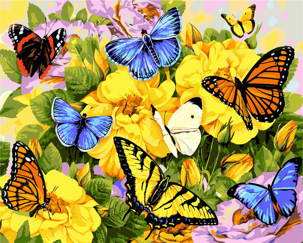 Butterflies in Spring Butterflies in Spring