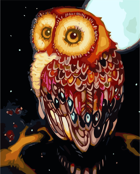 Night Owl Paint by Numbers Night Owl Paint by Numbers