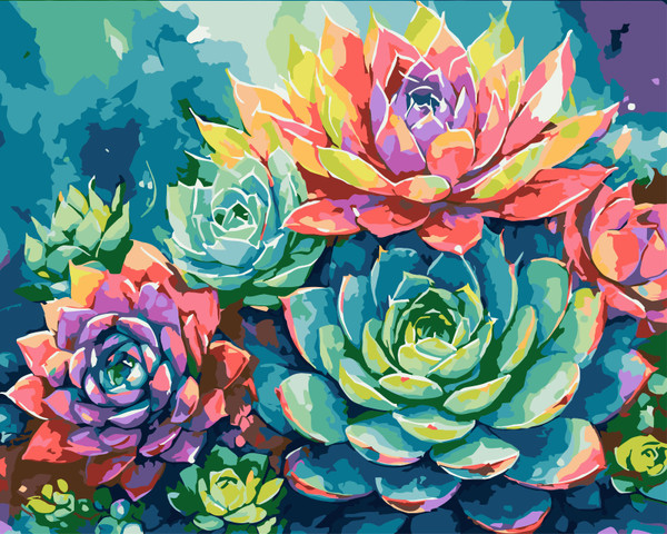 Colourful Succulent Flowers - Made to Order Paint by Numbers Colourful Succulent Flowers - Made to Order Paint by Numbers