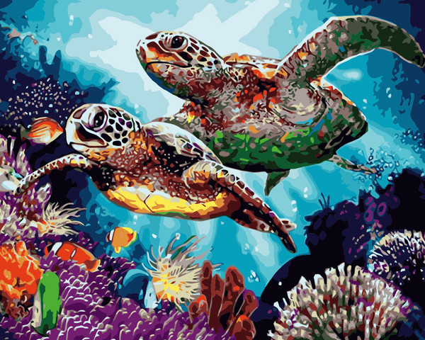 Long Life Turtles Long Life Turtles