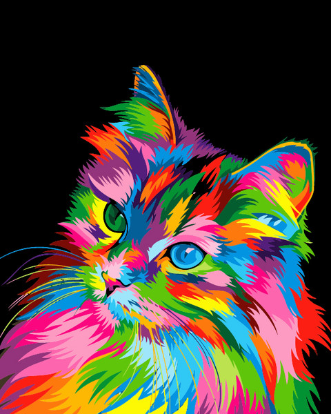 Colourful Persian Cat Colourful Persian Cat