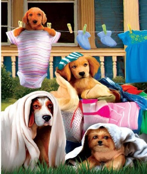 Puppies Laundry Puppies Laundry