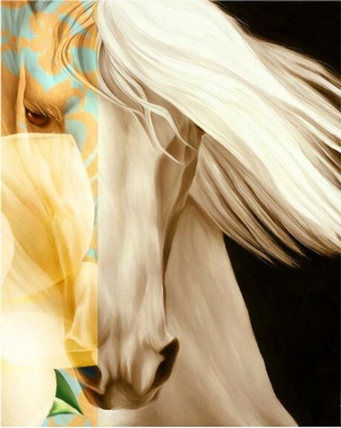 White Horse Abstract White Horse Abstract