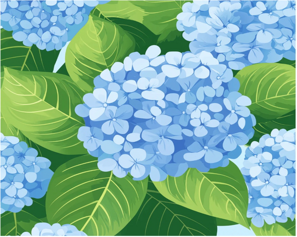 blue hydrangea blue hydrangea