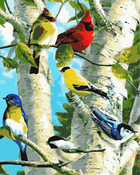 Bird Family Bird Family