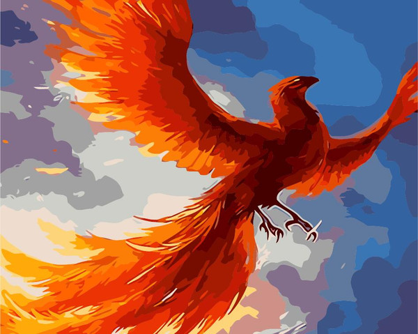 Phoenix Phoenix