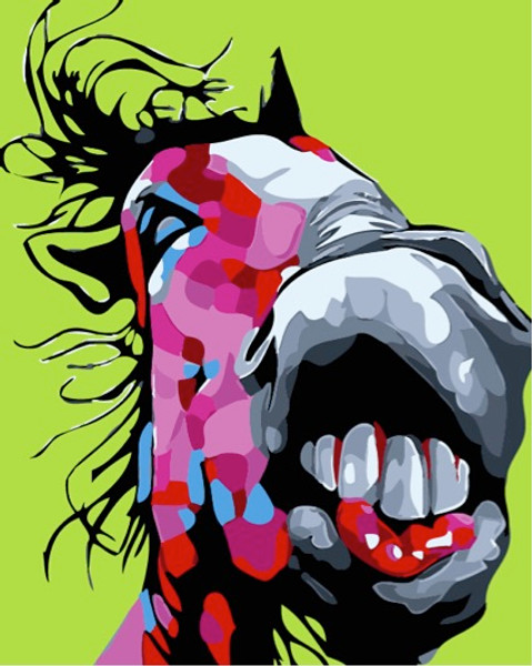 Colourful Horse Colourful Horse