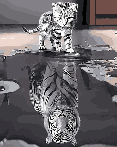 Strong Reflection Strong Reflection
