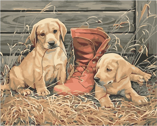 Work Boot Paint by Numbers Kit - 40x50cm Work Boot Paint by Numbers Kit - 40x50cm