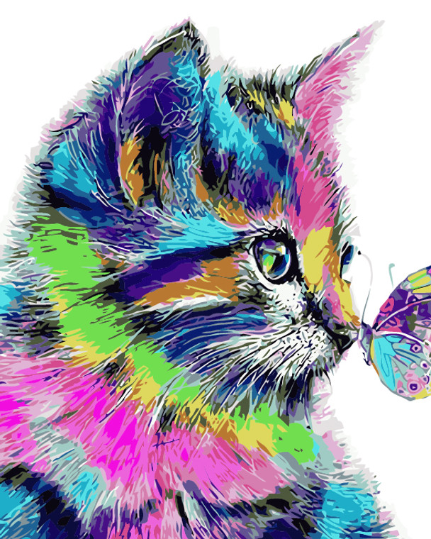 Colourful Kitten and Butterfly
