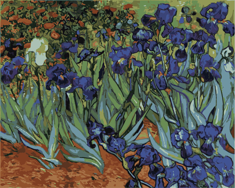 Irises by Van Gogh paint by numbers kit