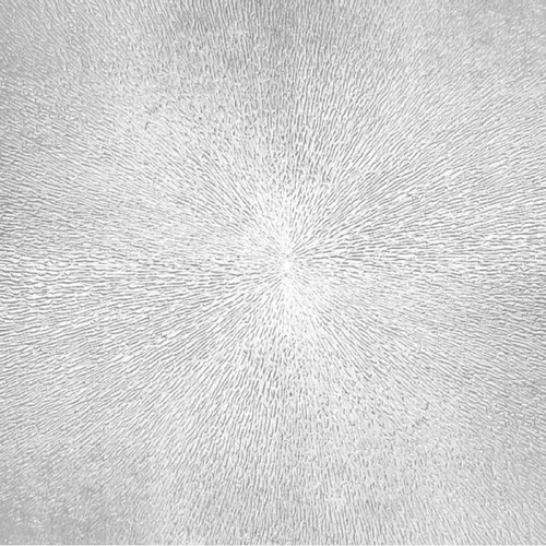 Caja Escayola Sol (6u/Caja)