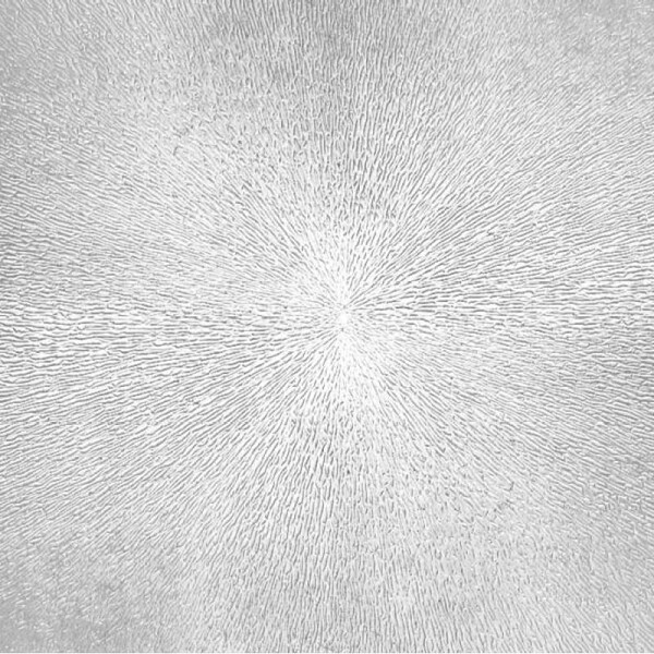 Caja Escayola Sol (6u/Caja)