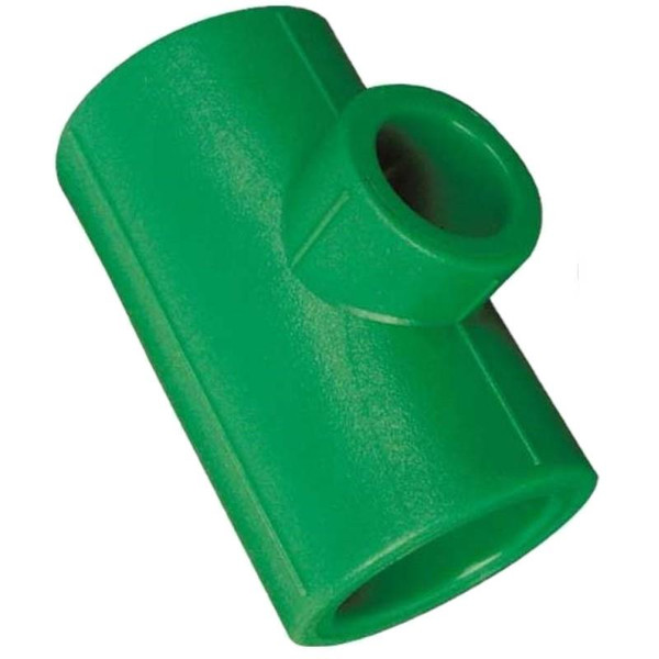 Te Reducida PPR Hembra