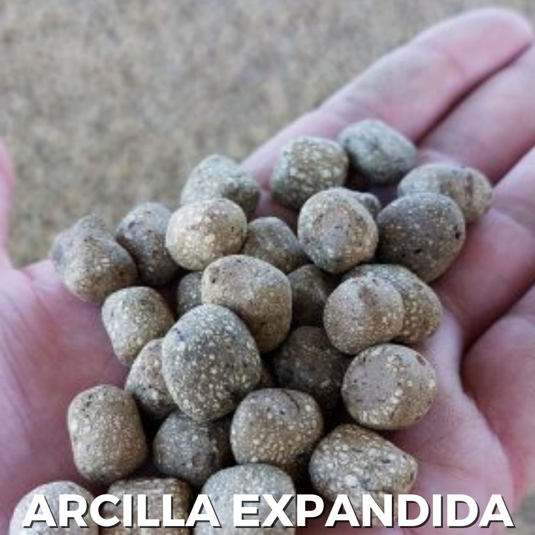 Arcilla Expandida