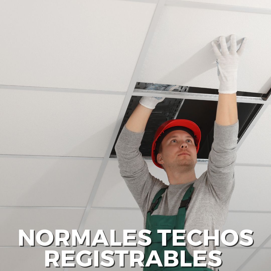 Normales Techos Registrables