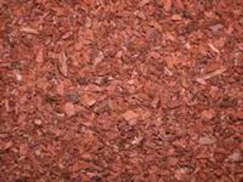 Sassafras Root