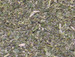 Catnip Leaves