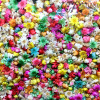 Colorful Mini Daisy Dry Flowers 55-65Pcs