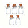 Tiny Glass Bottles 5Pcs with Cork