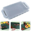 Silicone Tray Mold with Double Handles