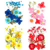 Dried, Pressed Flowers & Leafs for Resin
